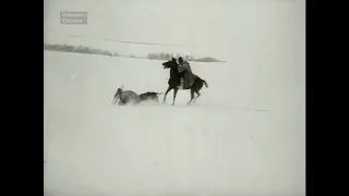 1910 год. Охота на волков в России.