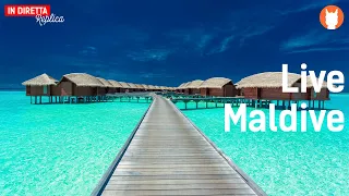 Come organizzare un viaggio per le Maldive