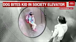 Pet Dog Bites Kid In Ghaziabad's Residential Society Elevator, Owner Remains Unfazed | WATCH