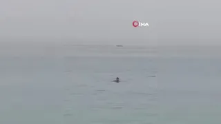 Katil köpekbalığı yakalandı