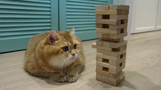 Jenga