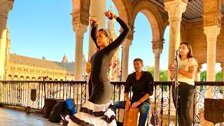 Flamenco - Plaza de España, Sevilla