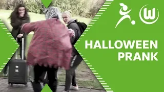 Fieser Halloween-Streich: Kulle prankt die Wölfinnen