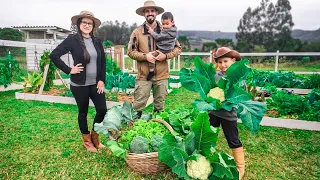 Cultive sua Própria Horta de Sucesso: Colhendo Couve Flor, Brócolis e Verduras Frescas - T7 Ep.16