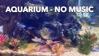 Relaxing Aquarium Fish Tank Sounds - NO MUSIC - Water Stream Sound to Sleep, Relax, Meditate, Study