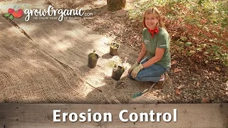 How to Control Erosion