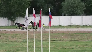 22.07.2023г  ОМСК БСК 3-этап Кубок Закон. Собр.Омской обл. Лошади Рысистых пород 4-х лет и ст. 2400м