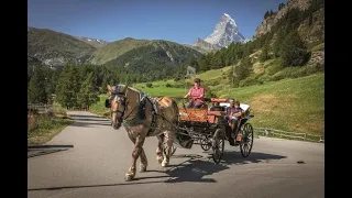 New One-Horse-Power Taxi in Zermatt