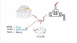 USMLE Step 1 - Lead poisoning