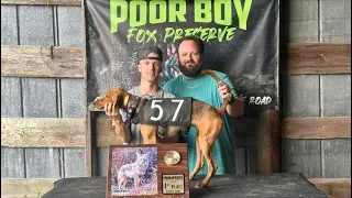 Fox Pen May Puppy Hunt Poor Boys Fox Preserve