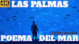 POEMA DEL MAR AQUARIUM FULL TOUR - LAS PALMAS - GRAN CANARIA 2022 4K