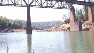 Otters Attack 2 Boys Swimming In Lake Shasta