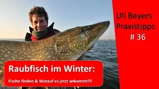 Raubfisch im Winter fangen