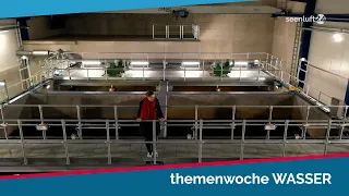 Wie kommt das Wasser in den Wasserhahn und was passiert danach?