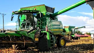 Kukurydza Na Ziarno🌽🔥|| 2 Kombajny John Deere T670🔥| Technologia CCM W OHZ Garzyn