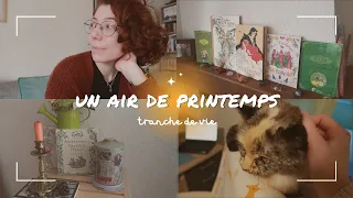 Un petit air de printemps à la maison 🌷