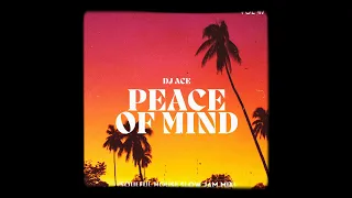 DJ Ace - Peace of Mind Vol 47 (Soulful House Slow Jam Mix)