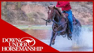 Clinton Anderson: Teach Your Horse to Cross Water - Downunder Horsemanship