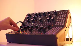 Moog Mother 64 Synth Improvisation