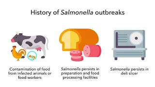 Environmental Health Quick Train Videos: General Considerations for Sampling for Salmonella