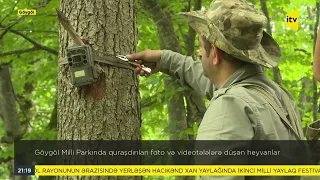 Göygöl Milli Parkında quraşdırılan foto və videotələlərə düşən heyvanlar