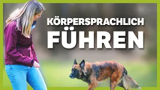 Den Hund immer richtig leiten: So gelingt es dir durch Körpersprache einfach und präzise