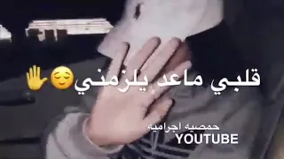 حالات واتس اب غرور 😌😎 شلع قلع كبيتو 😂♥