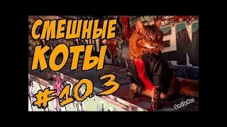 Смешные Коты и Кошки 2018 Лучшие Приколы с Котами и Кошками 2018 Funny Cats