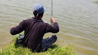 Fish catching || Fishing for Red-bellied piranha,Roopchanda
