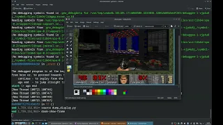 Re-animating a zombie in Doom (with time travel debugging)