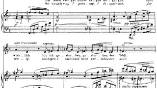 Gustav Mahler - Ich bin der Welt abhanden gekommen
