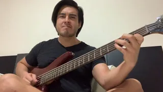Cake - I Will Survive (Victor Damiani bass cover)