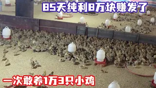 Chicken farmer raises 10 003 birds  nets ¥80k in 85 days - Wang Wei