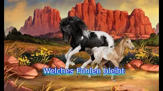 Horse Reality#272 Viele Fohlen müssen gehen gameplay German