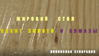 Жировой стол ловит Золото и Алмазы. Липкосная сепарация.