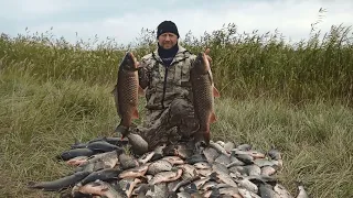 Ловля сазана в конце сентября (Озеро Чаны)