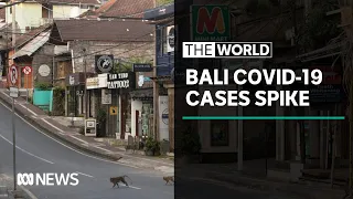 Bali coronavirus: Record high numbers for five straight days | The World