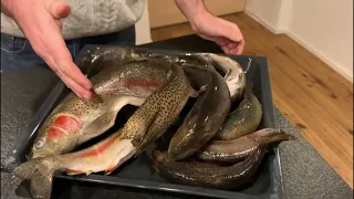 Wie räuchert man Fisch (Forellen und Saiblinge)? How to smoke fish at home (Trout, char, salmonids)
