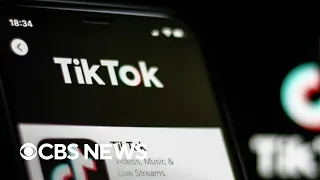 National security concerns over TikTok grow as more states ban app on government devices