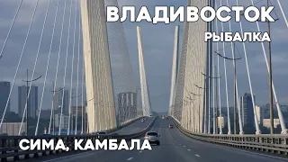 Владивосток рыбалка троллинг симы и ловля камбалы с катера рядом с городом. #БлогВладивосток