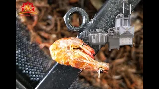 Vacuum fried vegetables and fruits chips fryer