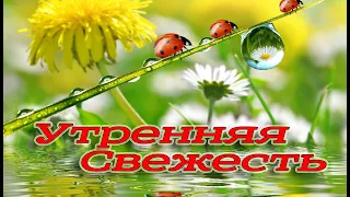 Утренняя свежесть природы. Музыка Сергея Чекалина. Relax Music. Morning freshness of nature.