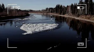 Le monstre du Loch Ness a-t-il été aperçu en Alaska ?