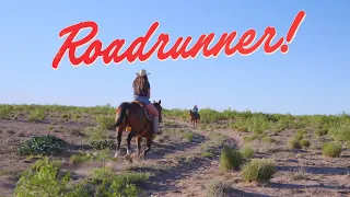 Kaitlin Butts - Roadrunner (Official Music Video)