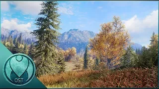 1 Hour of Breathtaking Next-Gen Nature Ambiance - Relaxing Forest Sounds - Sleep, Study, Meditation