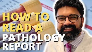 How to Read Your Cancer Pathology Report: A Pathologist Explains | The Patient Story