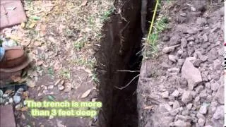 Root Barricade Installation to Protect your Foundation