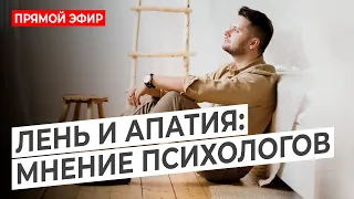 Лень и апатия дома - что делать?