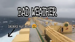 Ship in storm | PCC (Pure Car Carrier) vlog19