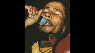 Bob Marley HD Pittsburgh,USA 80 (ULTIMO CONCIERTO) Natural Mystic/Positive Vibration